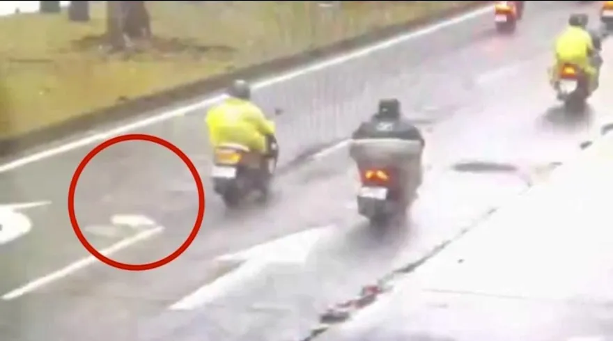 影/北市街頭天降2萬現鈔　好心騎士拾金不昧警尋失主