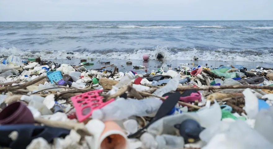 塑膠袋缺貨！寶島包裝節「海廢」拿來包食材　創意實踐永續