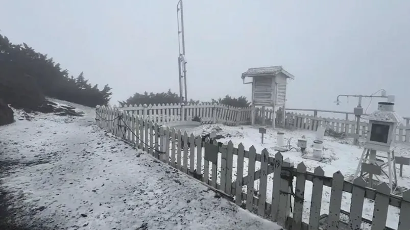 玉山今天中午降4月雪！銀白世界曝光