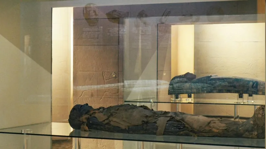 花千萬買古屍？台中科博館證實木乃伊　網喊：進去就不舒服