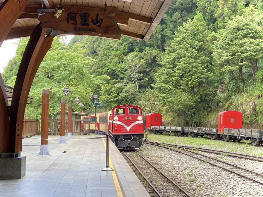 影/小火車卡半路！阿里山林鐵轉轍器故障　91人被迫等38分鐘