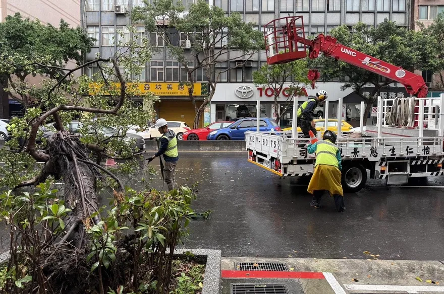 影/北市大安區路樹倒塌　2車急煞追撞車頭全毀