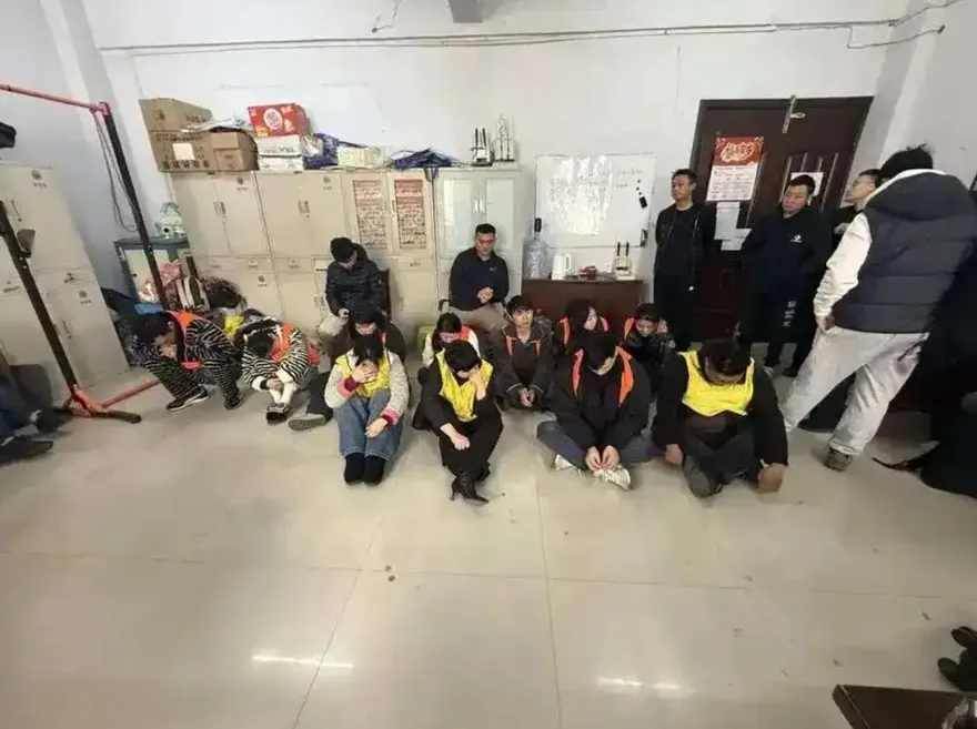 為行竊辦年卡！上海迪士尼「28人玩偶盜團」落網　市價1成銷贓