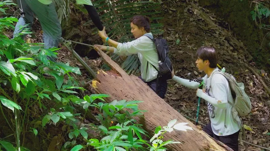 金荷娜、南優賢爬楔隘古道「幾近崩潰」！驚呼：根本魔王等級