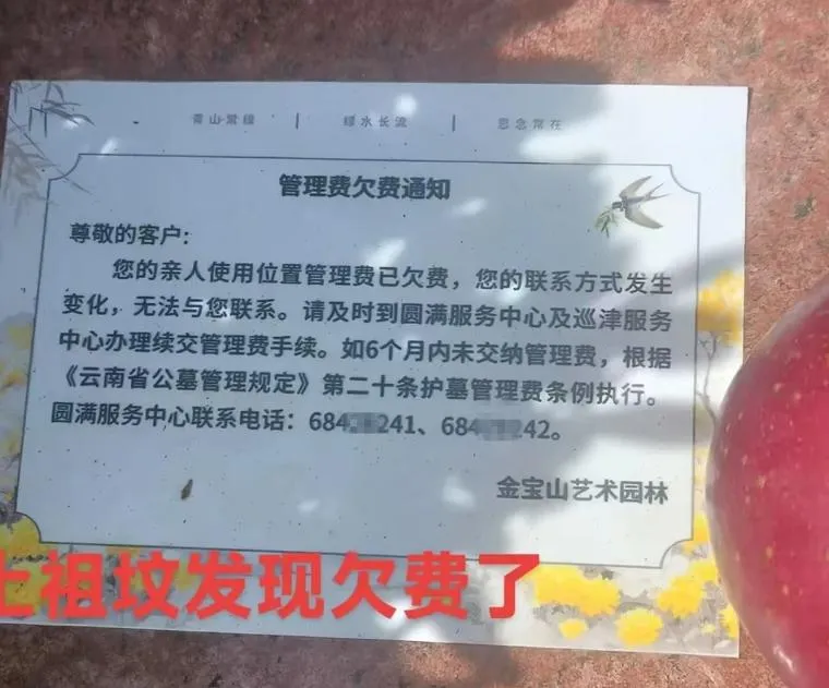 墓碑被貼「欠費通知」！陸網友掃墓傻眼　不繳恐淪「無主墓」