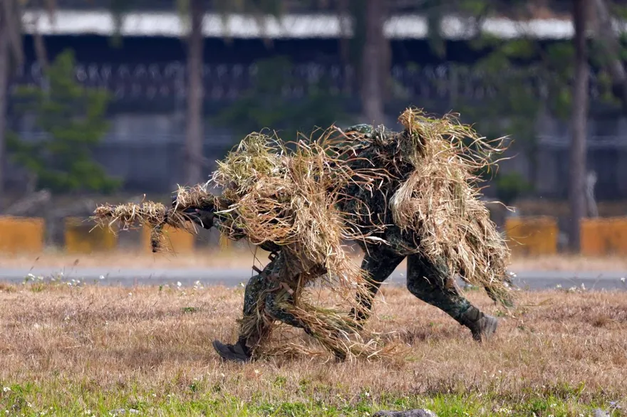 兩岸若開戰沈伯洋、林飛帆上戰場？他戳破兵役紀錄轟：綠有能力的人早跑了