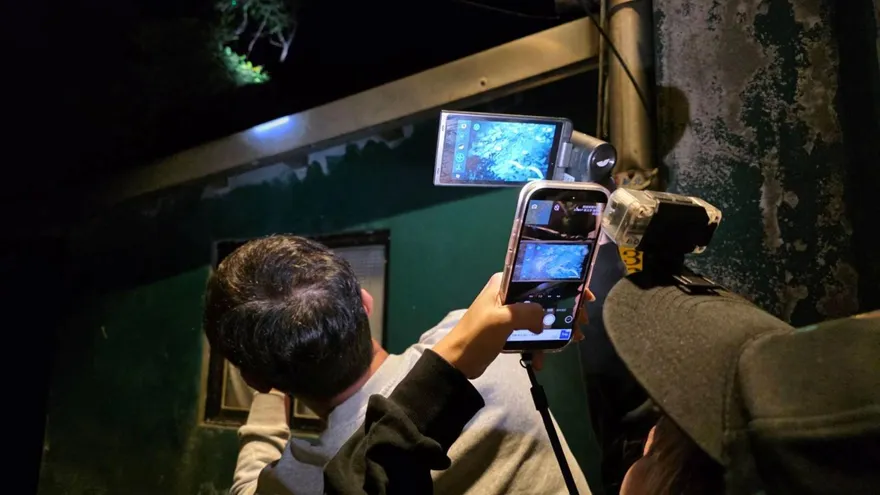 瑞芳小黑受困深澳山區低鳴　動保處出動熱顯像儀成功救援