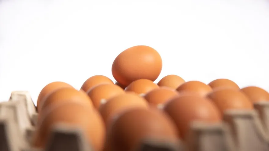 1天吃2顆蛋太危險？研究驚曝：每週12顆「膽固醇竟零變化」！