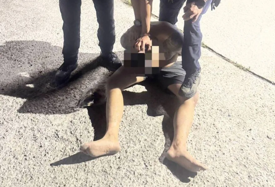 台中毒蟲持槍跳入泳池「對教練孩童扣板機」　判6年4月