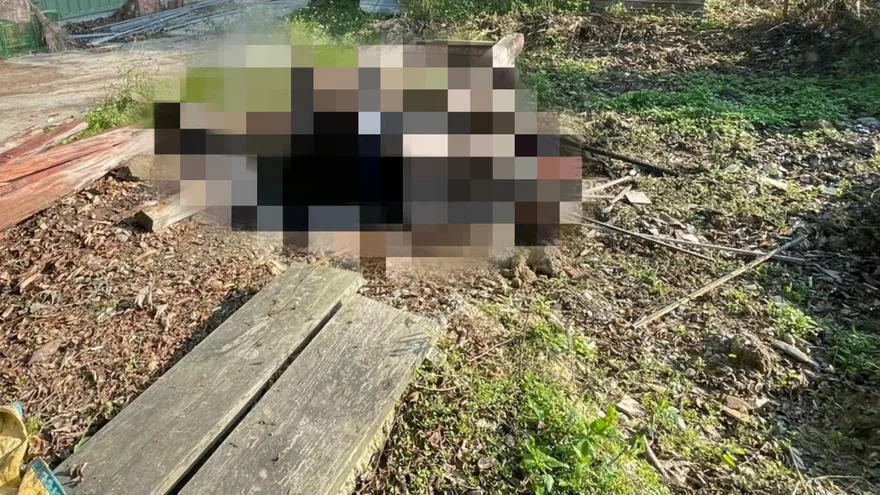 驚悚！嘉義工寮奪命火警　82歲翁倒臥火堆慘成焦屍