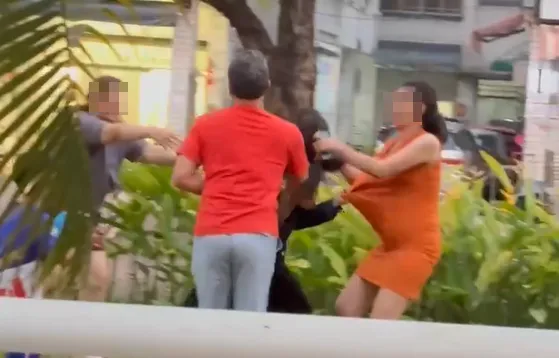 影/屏東公園全武行！小孩玩耍起糾紛　2婦人抓衣、互扯頭髮