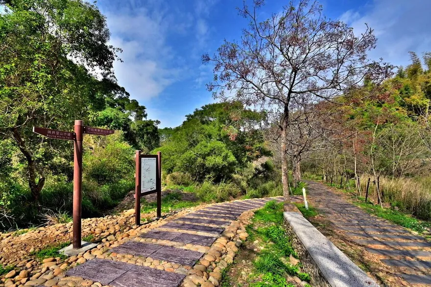 「被遺忘秘境」淪悲劇！台中大肚山驚見女屍　林務巡守員驚恐報警