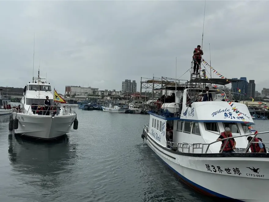 花蓮賞鯨季開跑！　業者齊宣示打造「友善賞鯨環境」