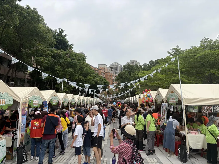 邁入29年！新北桐花祭揭幕　賞花兼承傳客家文化
