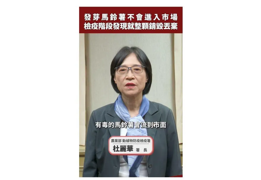 毒馬鈴薯恐流竄市場？農業部：不要再以謠傳傷害防檢疫體系