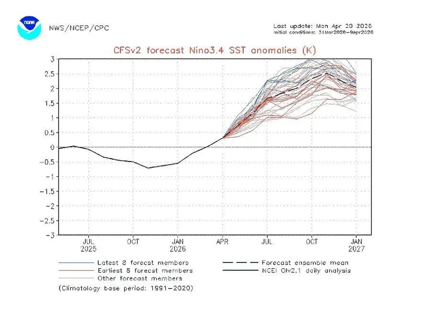 「強聖嬰」機率增！氣象粉專：颱風生命延長、強度提升