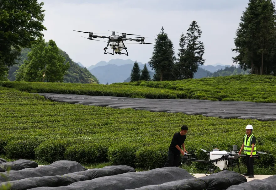 操作無人機灑農藥未清場…陸「飛手」砸死路人判關一年半