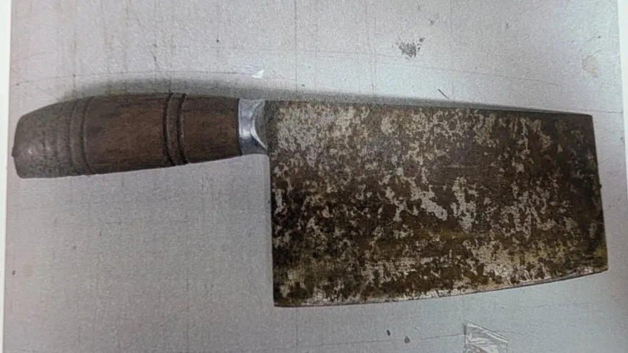 影/竹北某國小旁驚現「持刀流浪漢」　警方：已移送法院裁處