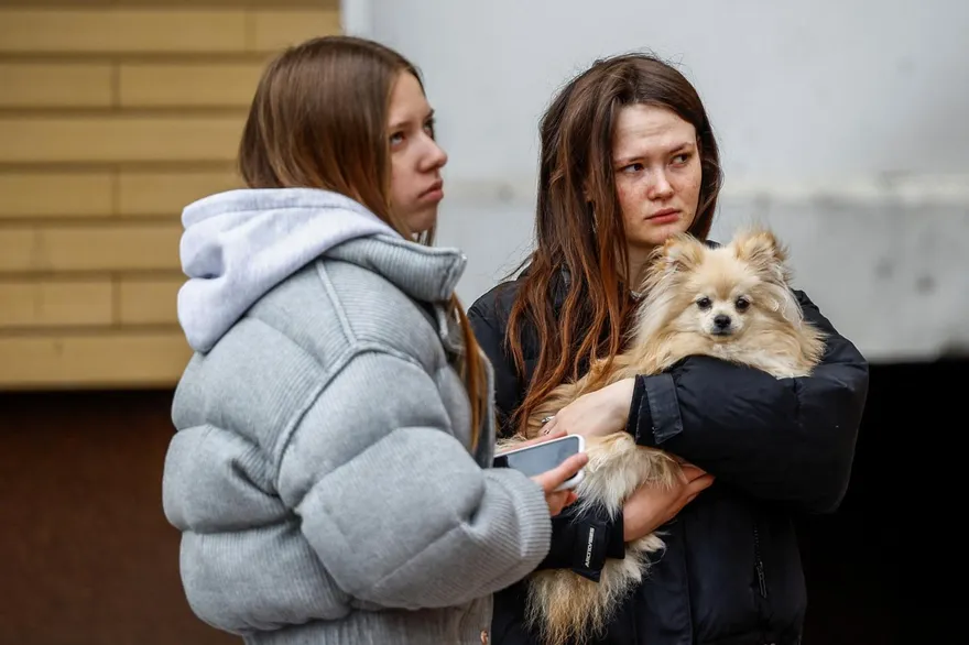 戰火波及動物！從戰地貓狗到救援蜜蜂　烏克蘭人戰爭中不忘守護毛小孩