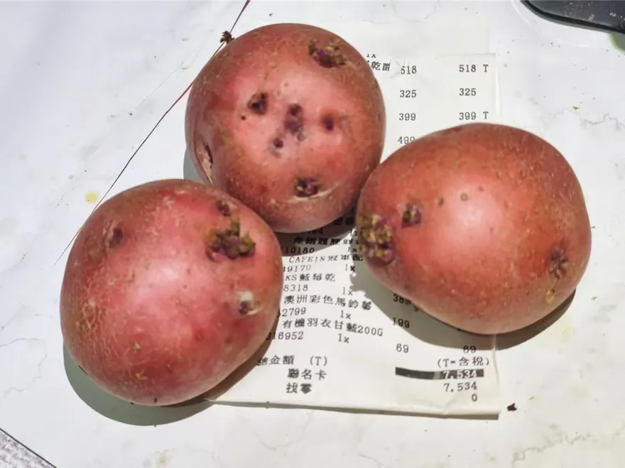 美式賣場馬鈴薯遭控發芽！業者：單一個案…全台門市照樣販售