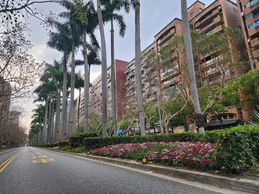 開車不煩悶！台北最美林蔭大道升級　仁愛路花景五彩繽紛