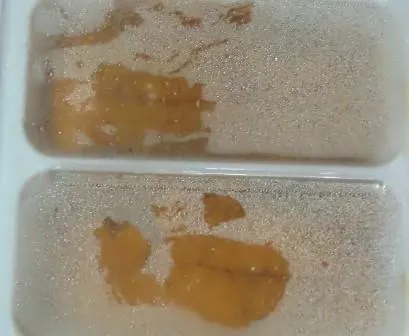 驚！迴轉壽司海膽卵「重金屬超標」　26.4公斤邊境攔截