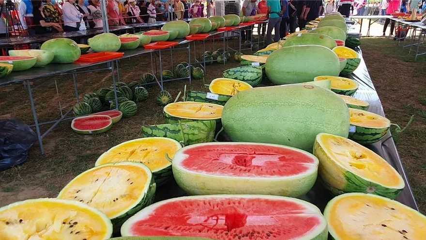 一家四口深夜吃西瓜「12小時後身亡」　醫曝致命關鍵