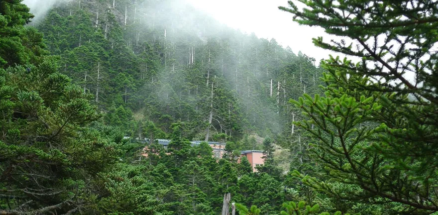 排雲山莊徵才月薪45K、月休15天　網：好心動