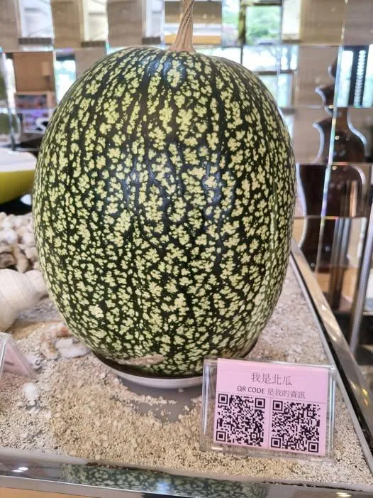 飯店見「北瓜」好新奇！內行人：果肉料理後口感像魚翅