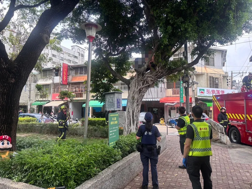 酒膽包天！台中2男嫌太熱爬2米高樹上喝酒　結果下不來