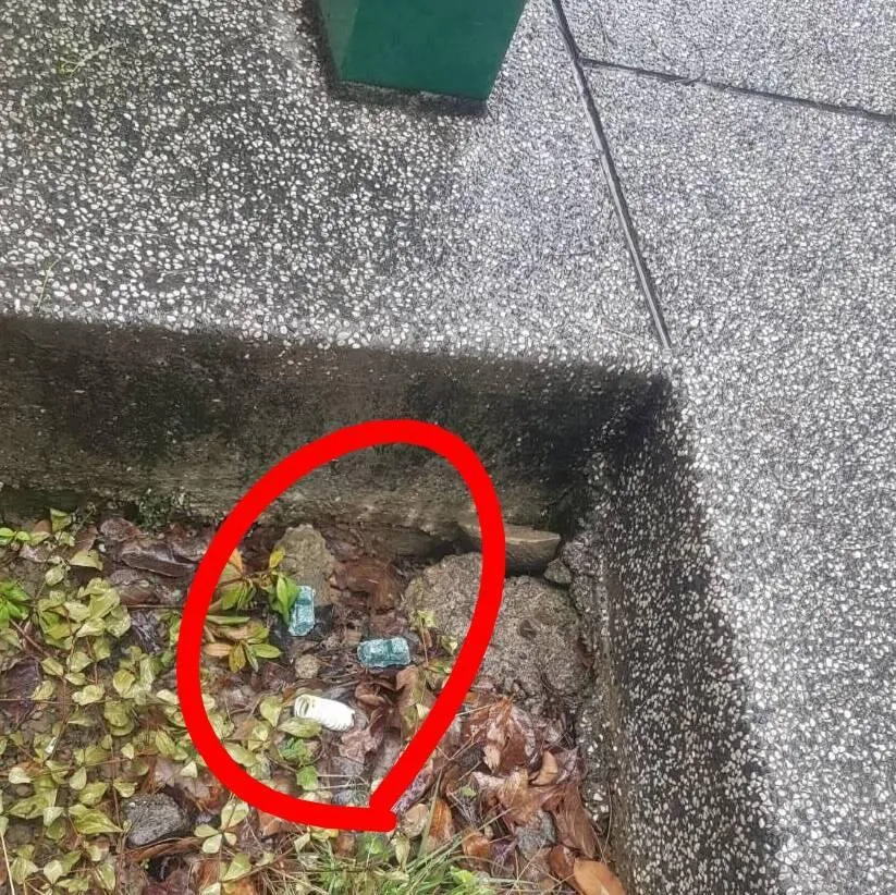 林亮君被爆設局投老鼠藥　楊智伃揪疑點：在搞沈伯洋？
