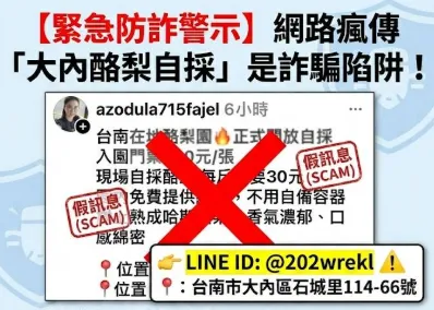 台南大內驚傳「低價酪梨自採」詐騙　區公所急喊：別加LINE