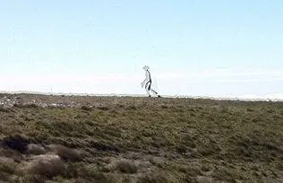 嘉明湖外星人照是國安機密？美認證無變造　警私傳遭記申誡