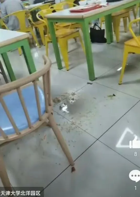 有夠衰！只因嫌「貓拉屎很臭」　男學生慘遭陌生女「飯菜蓋頭、搧巴掌」