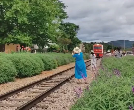 影/遊客為與「網紅小火車」合照闖入鐵軌　鳴笛勸不離火車被逼停近1min