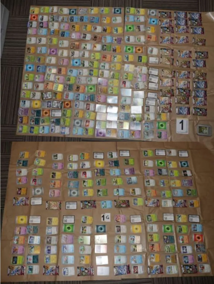 瘋迷寶可夢！22歲男全島跑透透　8天狂盜「500張遊戲卡」淒慘下場曝