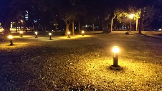 航海王看太多！夜闖高雄中央公園　屁孩划船發誓：會活著回來