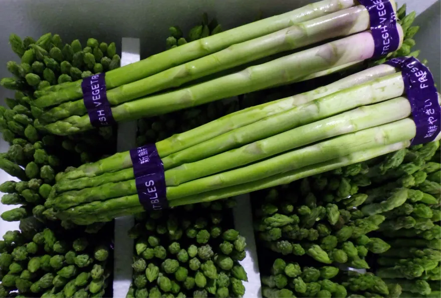 泰國蘆筍農藥超標、義大利乾酪菌數違規　食藥署全數退運銷毀