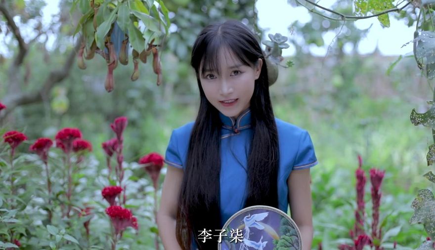 很會賺！網紅李子柒停更一年多　Youtube月收益仍達348萬台幣