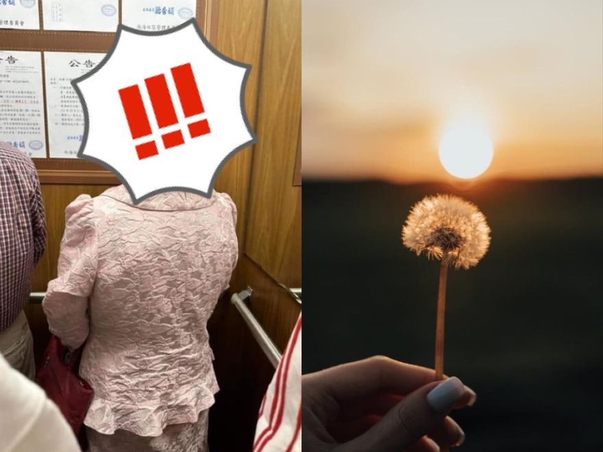 「蒲公英」髮型超吸睛！　網讚嘆：求髮型師大名