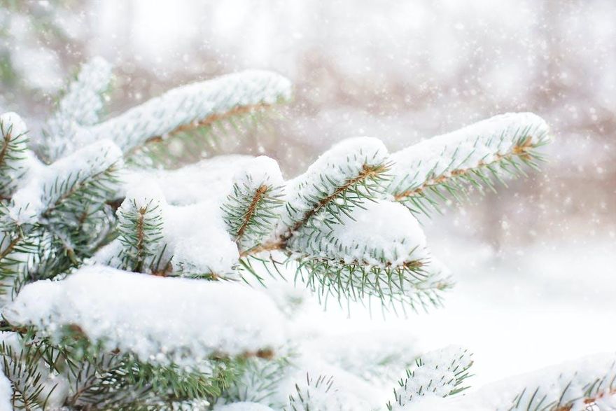 小雪6大禁忌勿觸犯！命理師點名2種人要注意沖煞
