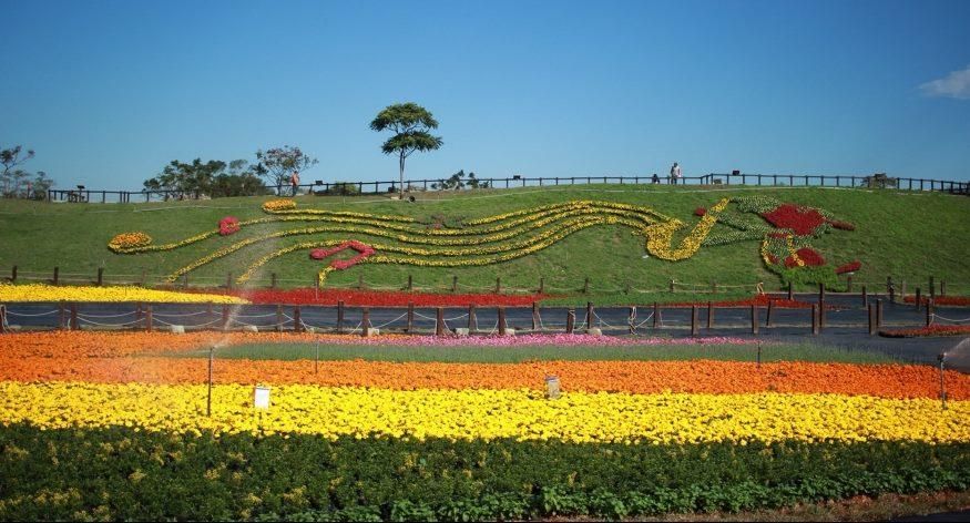 台版普羅旺斯！台中國際花毯節開幕　「小型花卉妝點」點綴新社各角落