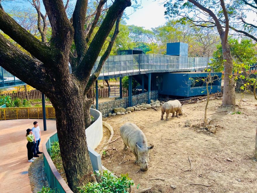 壽山動物園超夯！一日玩不夠再住高檔飯店　沉浸式打卡牆耍萌