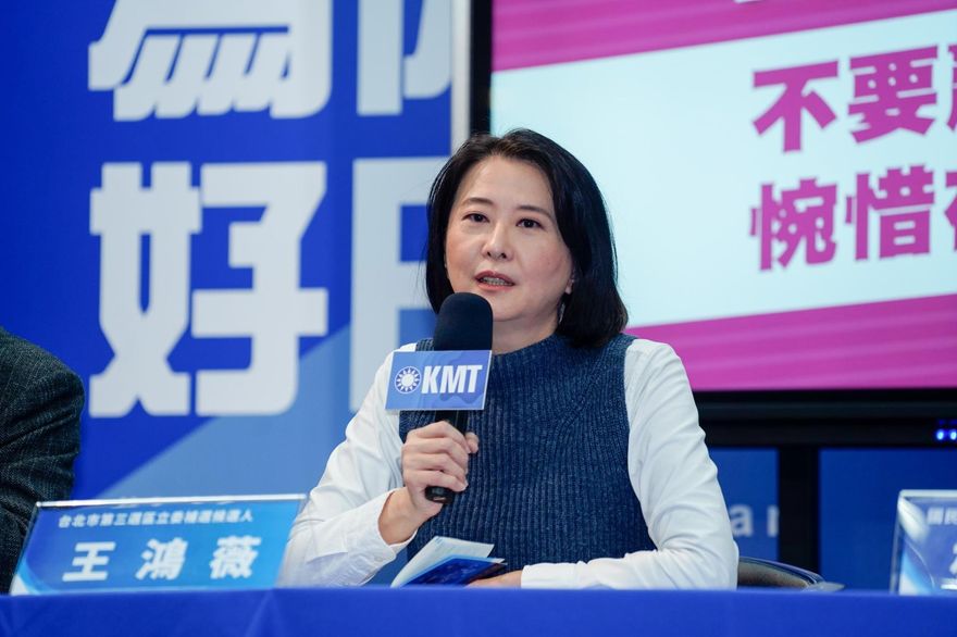 提案推王鴻薇條款？苦苓看不下去　怒轟綠營政治算計曝「8字」真相