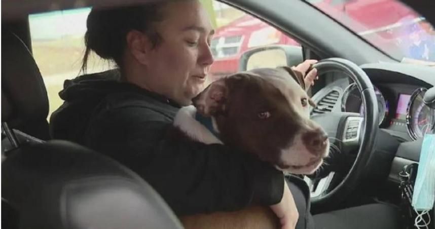 住家陷火海！英勇比特犬竟不顧危險衝回火場　救出1歲小主人
