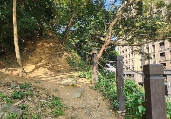 快訊/中和老翁跌落6米邊坡　頭部重創命危送醫搶救中