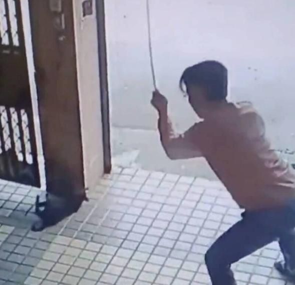 殘忍虐狗！台南玉井男「持長棍猛打」畫面曝光　小黑犬抽搐慘死