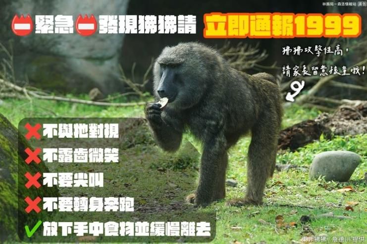 罵人新詞彙？她臉書批表妹像「狒狒」　下場芭比Q了