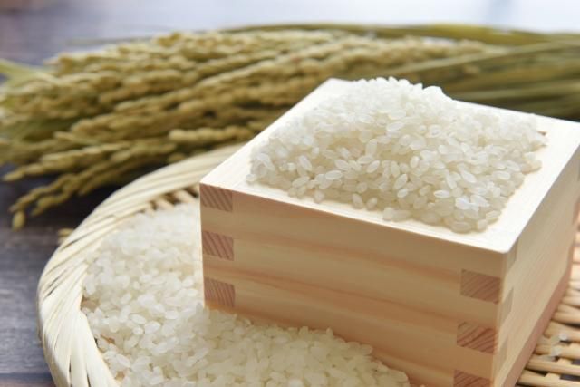 減肥「不吃澱粉」增早死風險！譚敦慈籲：均衡飲食才是不二法門