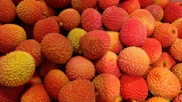 荔枝吃太多當心上火！　農業部：成人一天食用不宜超10顆